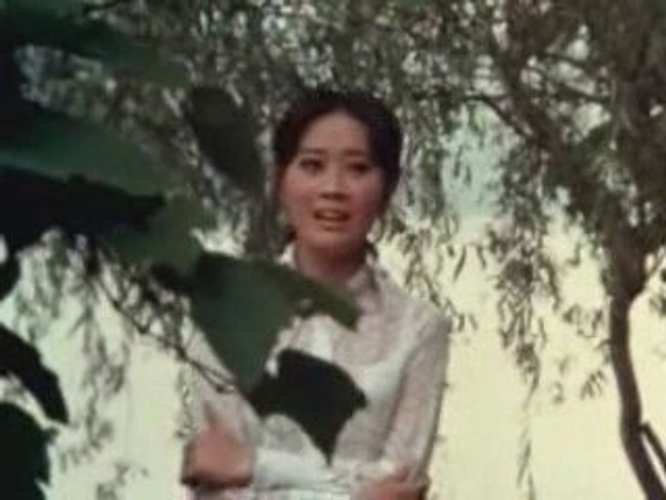 하춘화 - 물새한 마리 1972