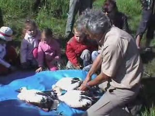 Cigognes - Classe découverte 2009