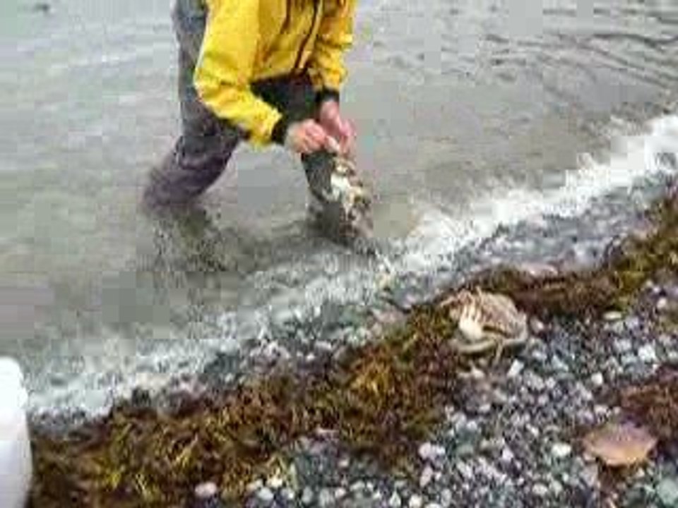 Crabbing in Haines, AK