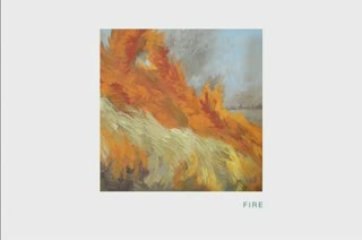 Nicole Strasburg: Air, Earth, Fire, Water