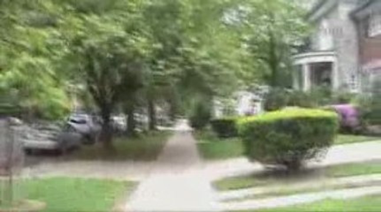 Caminando por Forest Hills, New York