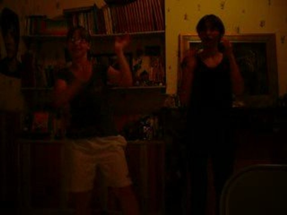 Single ladies parodie de Joe Jonas by Camilloux et Léa