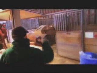 Horseshoing Farrier Training Program Career