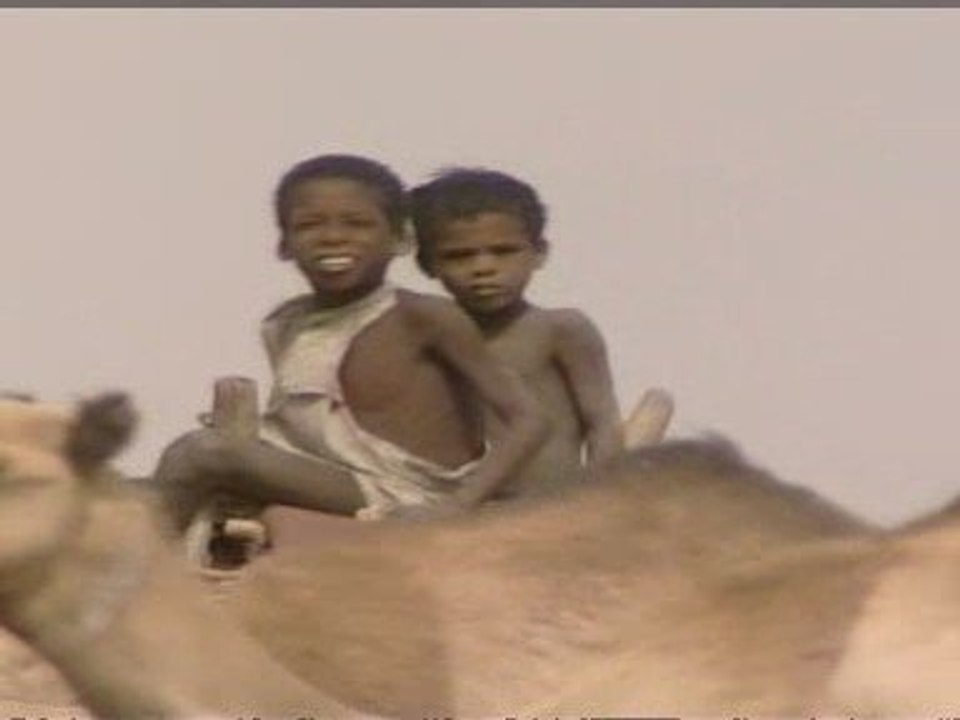 Warning over economic impact of climate change