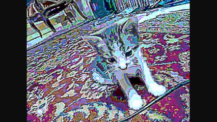 Les bébés de Charlotine _ 1ere rencontre au réveil