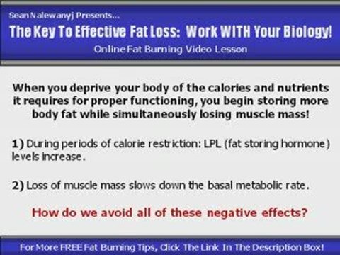 Fat & Quick Weight Loss Diets: What Works & What Doesn't
