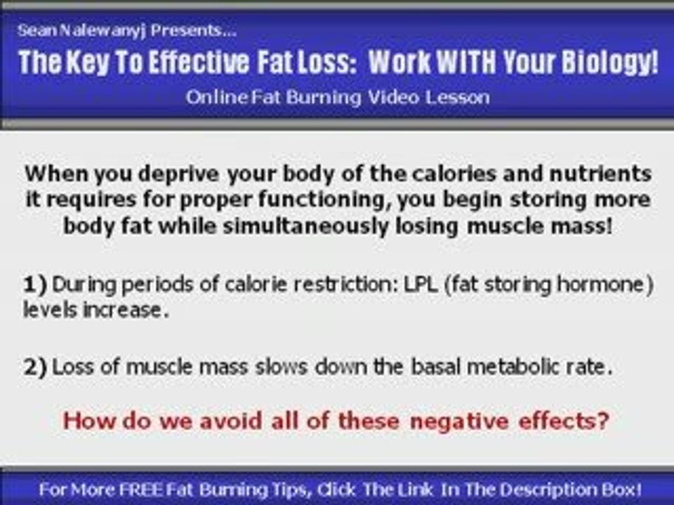 Fat & Quick Weight Loss Diets: What Works & What Doesn't