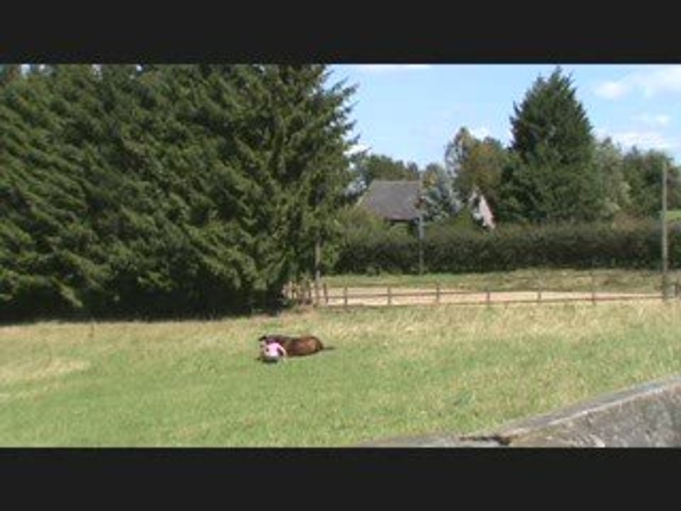 Qwenta et Alicia, le pré