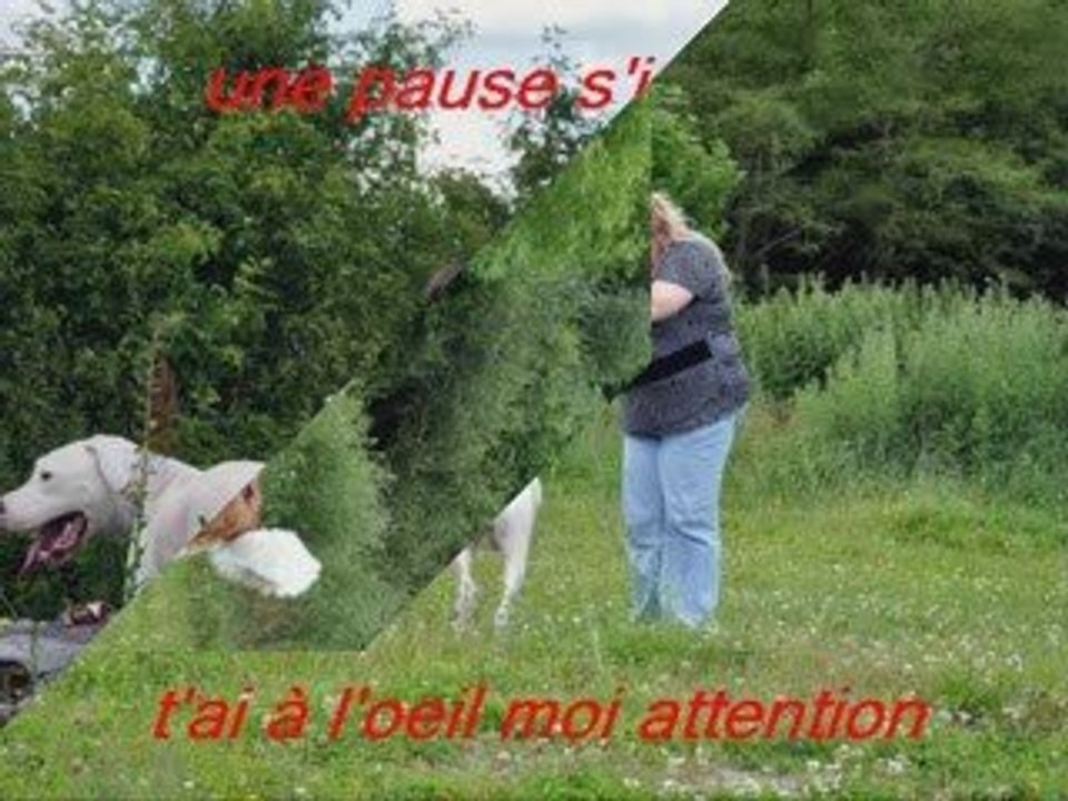 quelle vie