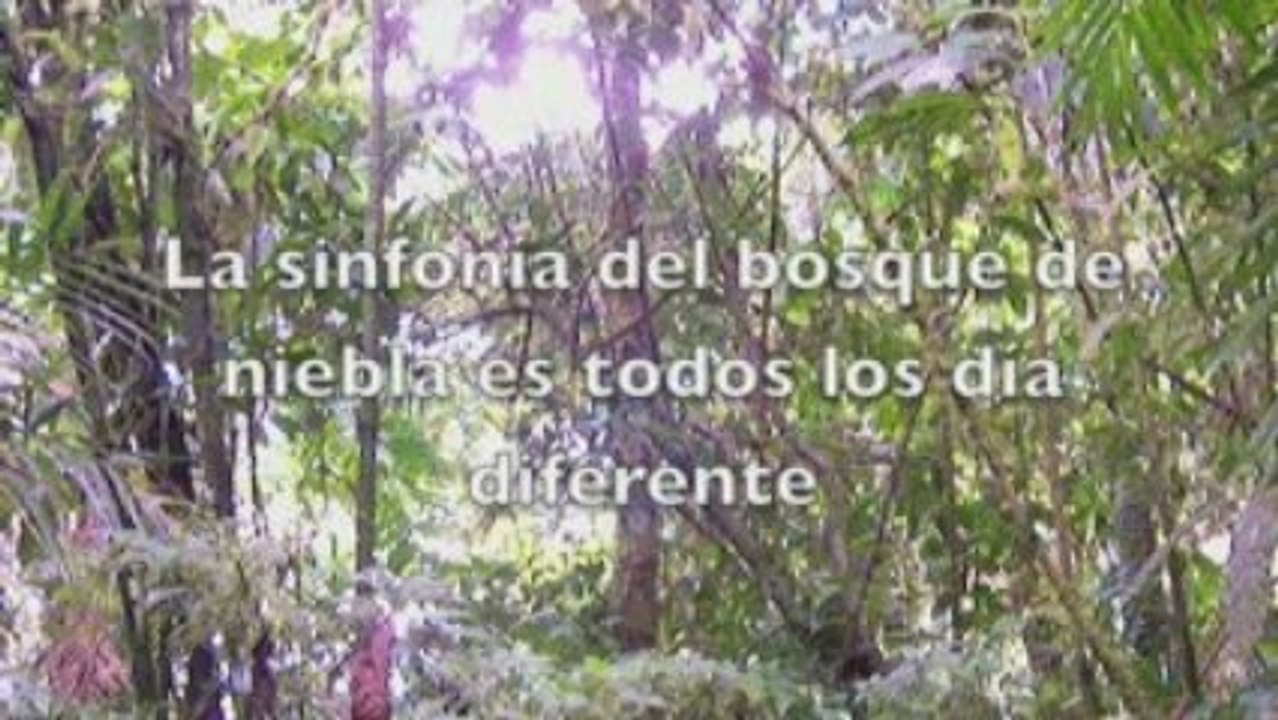 Paseo Ecologio por senderos