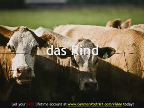 Learn German - German Farm Animals Vocabulary