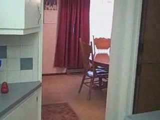 Portage MI Home with Inground Pool For Sale