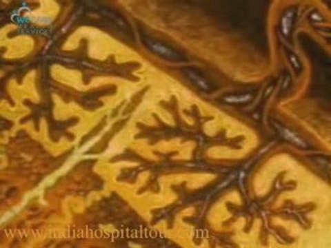 Fertility,Fertility Clinic Mumbai India,Cost Infertility Cli