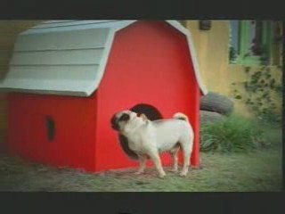 Dog box - funny new Vodafone commercial