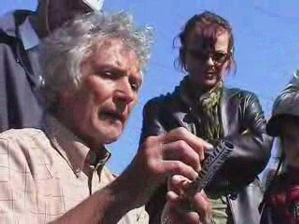 Cigognes - Bagues pour baguage ?