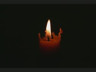 Vivre le Coran - Pr. Hani ramadan 1