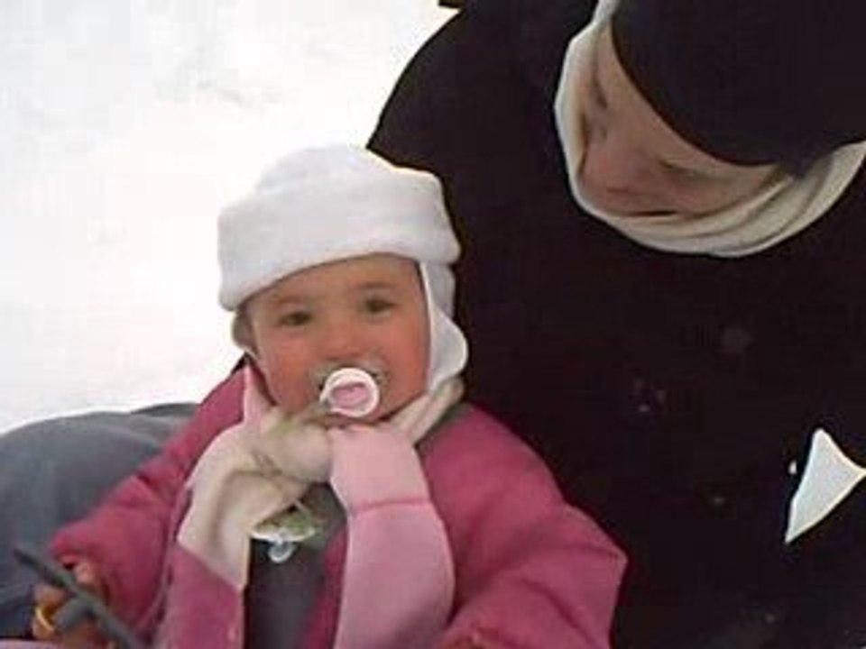 En luge