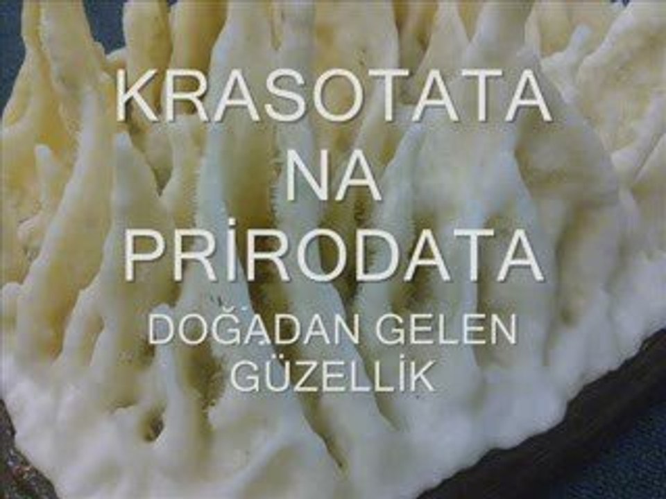 doğadan gelen güzellik