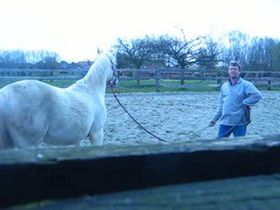 2 avril 2008 (4)