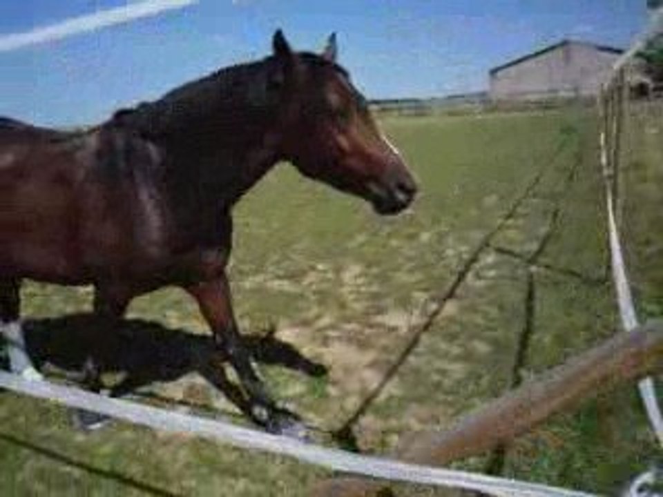 04 août 2009 - Rap Paddock