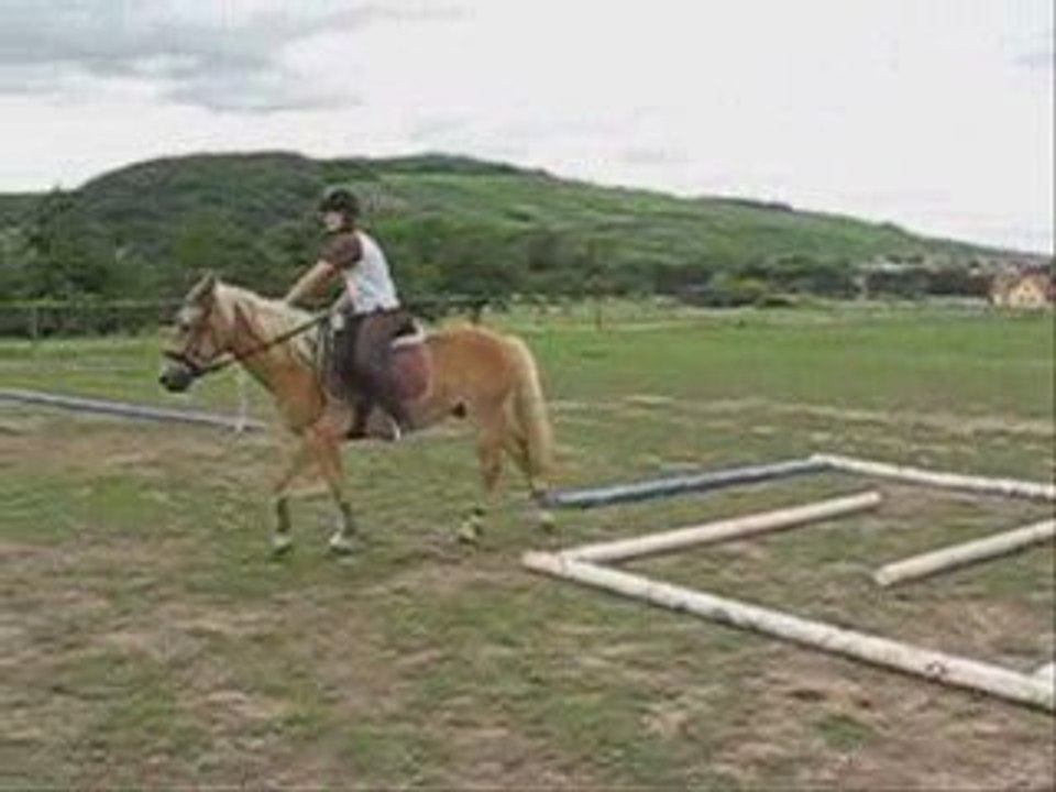 Entrainement de TREC avec Kiki