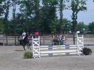 lamotte-beuvron 2009