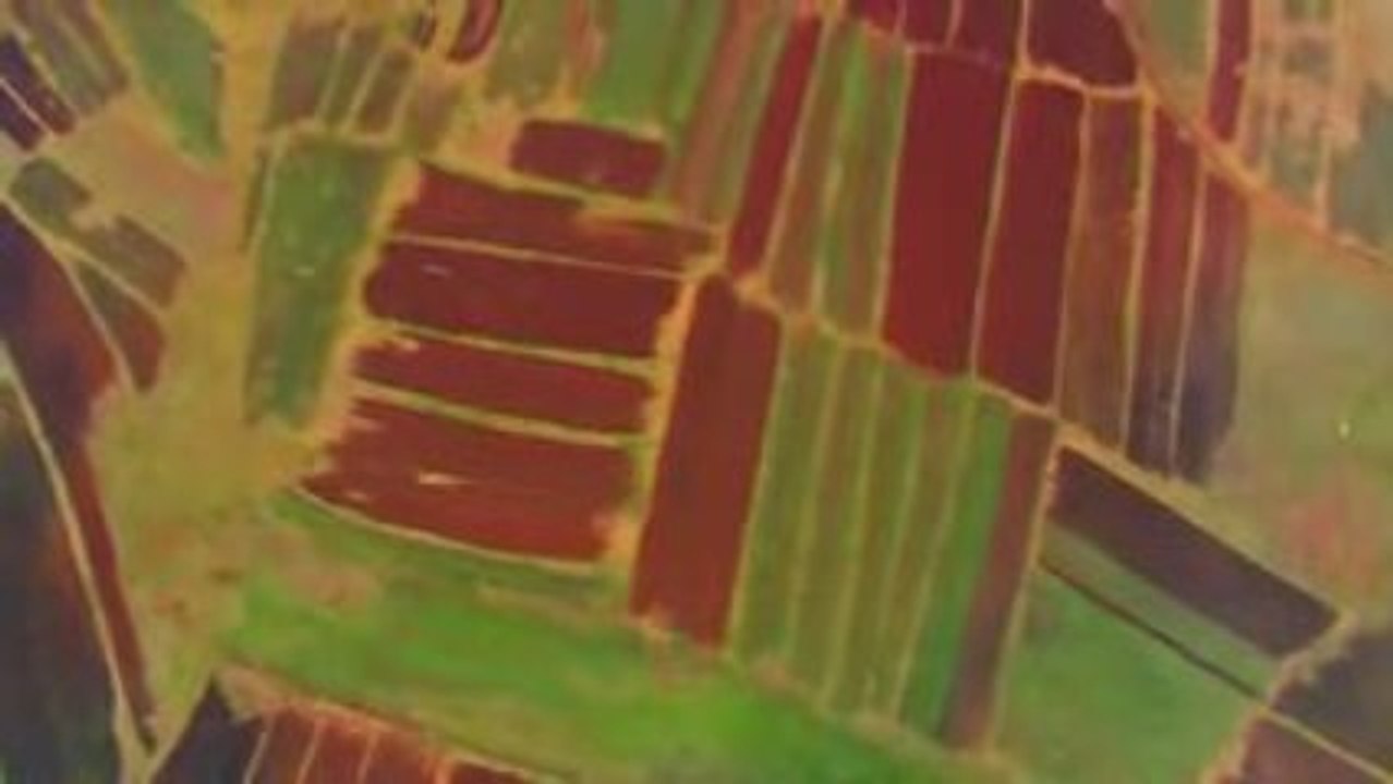 Home [fr] - 2 L'agriculture