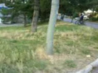 ballade en velo