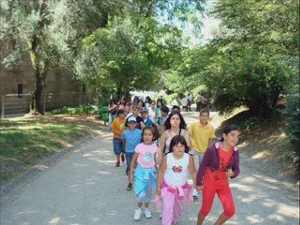 Actividades Férias 2009