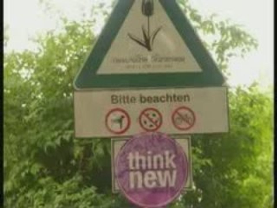 Lima gleichgewicht für think new