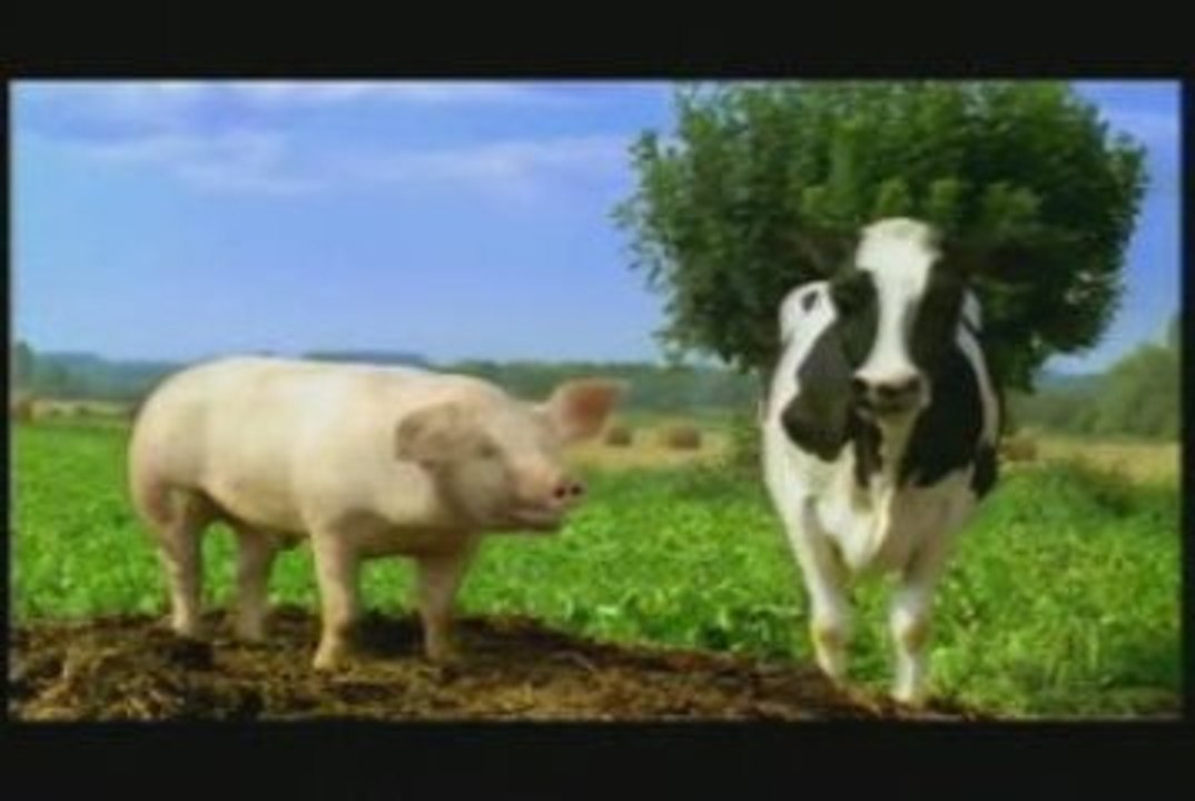 Bonduelle Pig & cow