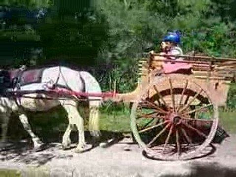 Montagnes et Crinières Thorame Basse Ballade à cheval