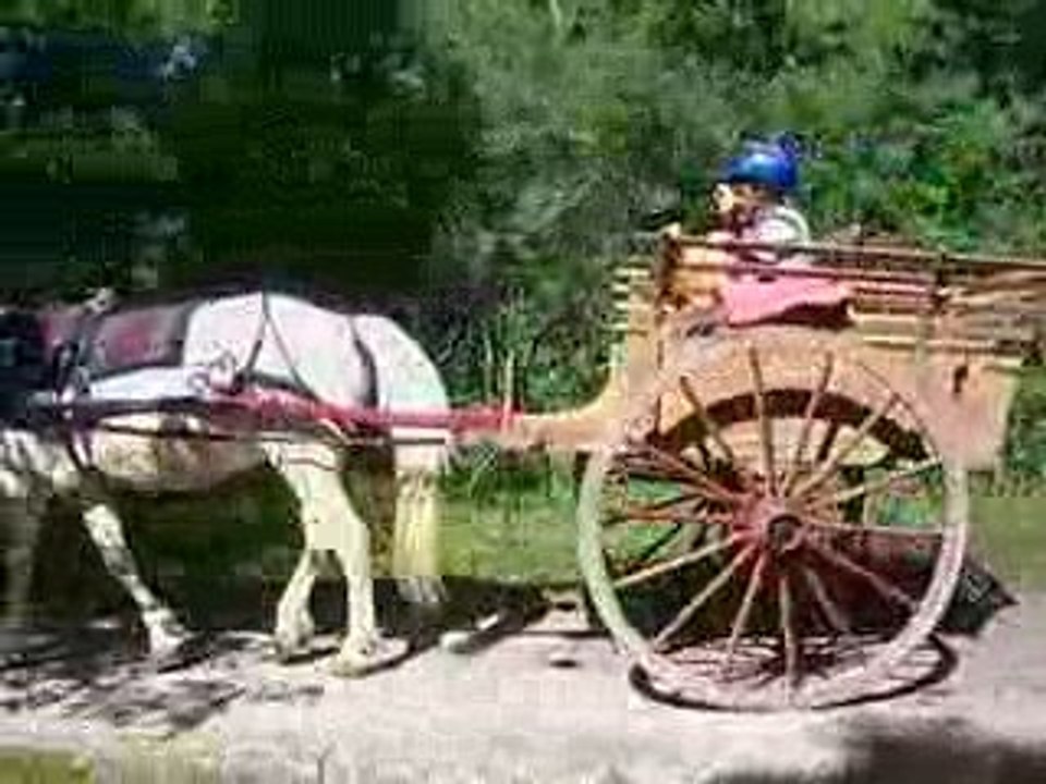 Montagnes et Crinières Thorame Basse Ballade à cheval