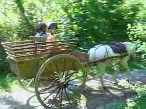 Montagnes et Crinières 002