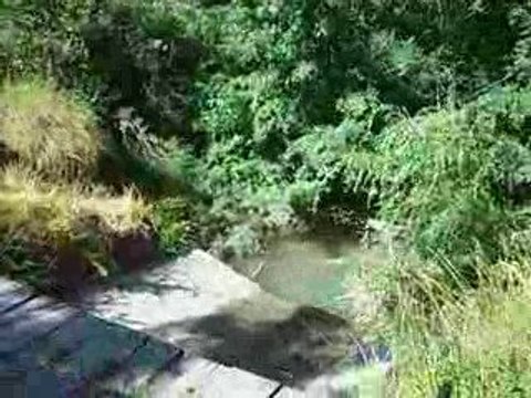 Montagnes et Crinières 003