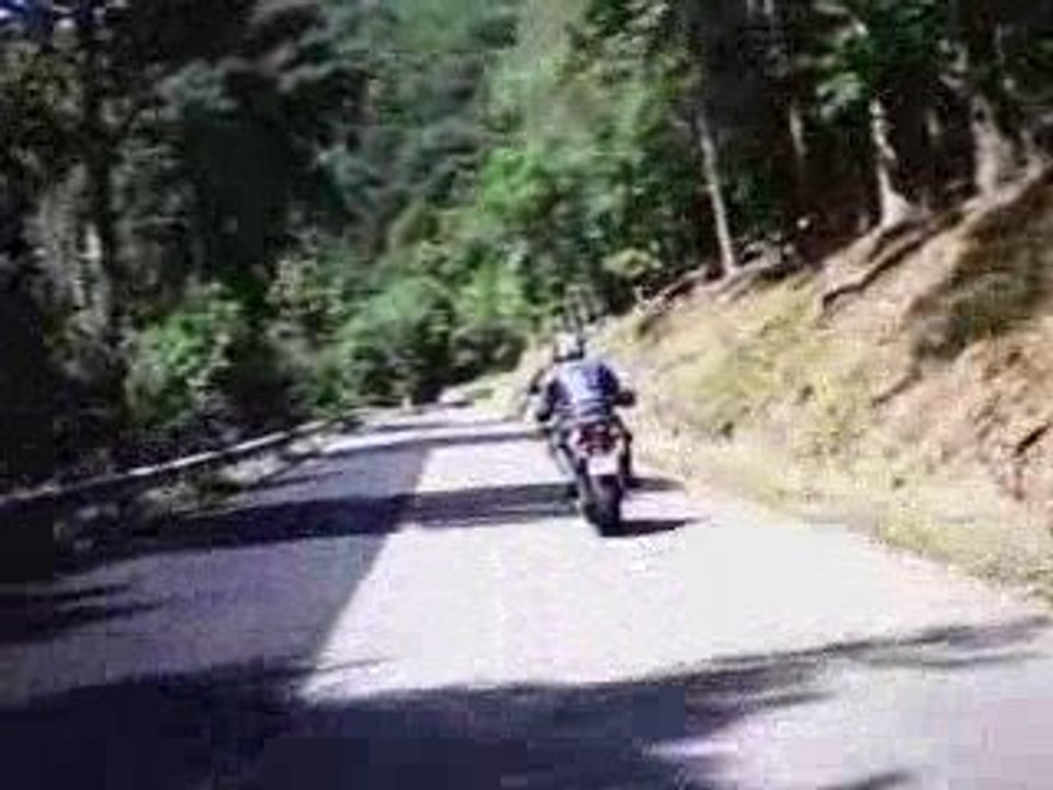 Sly chassed by daisybox - 3 épis