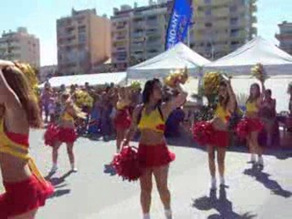 Usap Beach Rugby