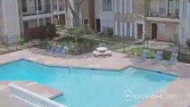 Woods on Lamonte Apartments-Houston Apartments