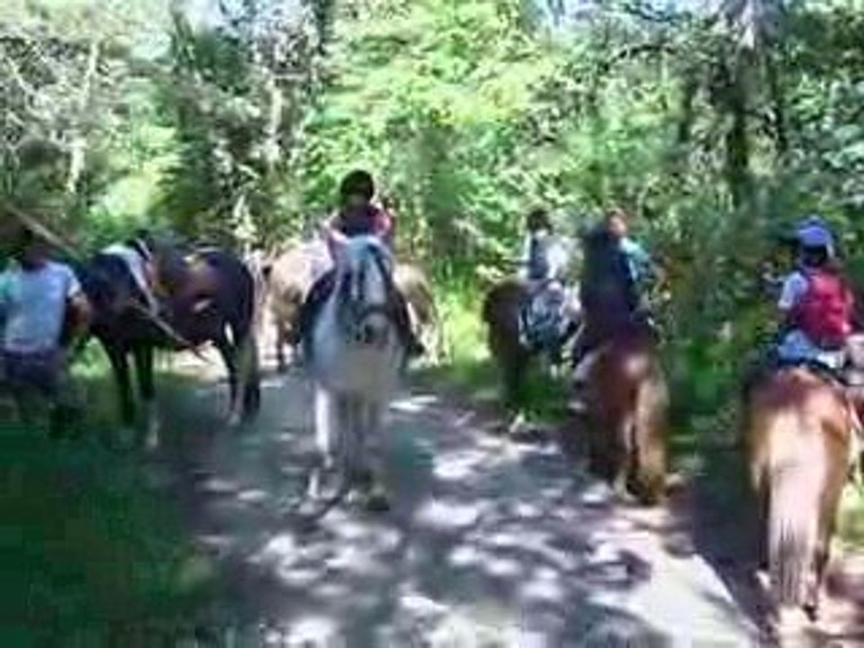 Montagnes et Crinières 004