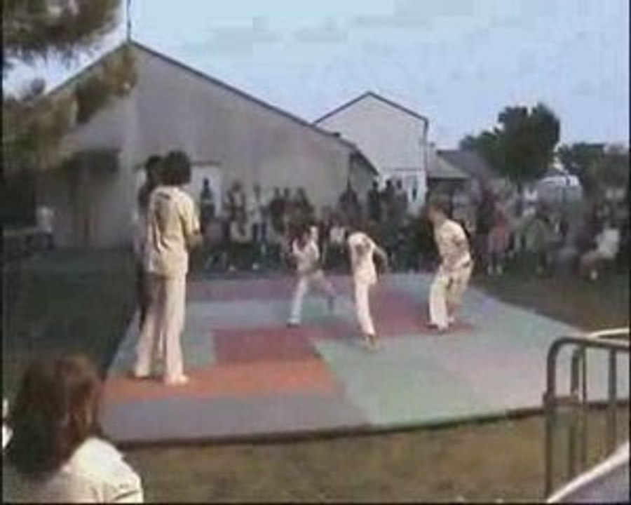 nuit des arts martiaux et danses urbaines (capoeira brasil)