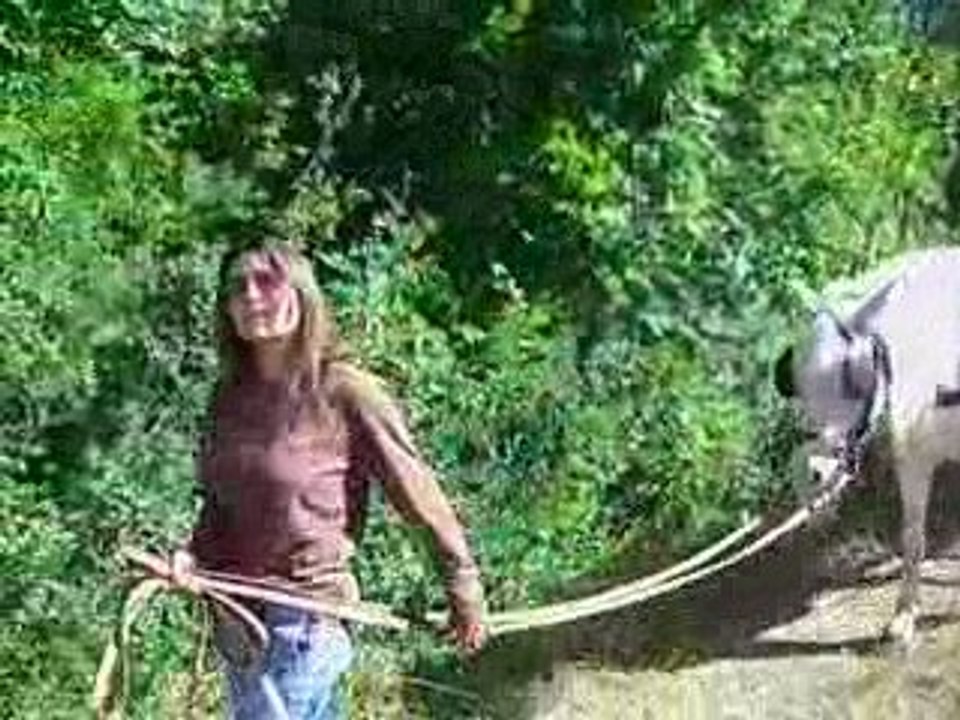 Montagnes et Crinières 006