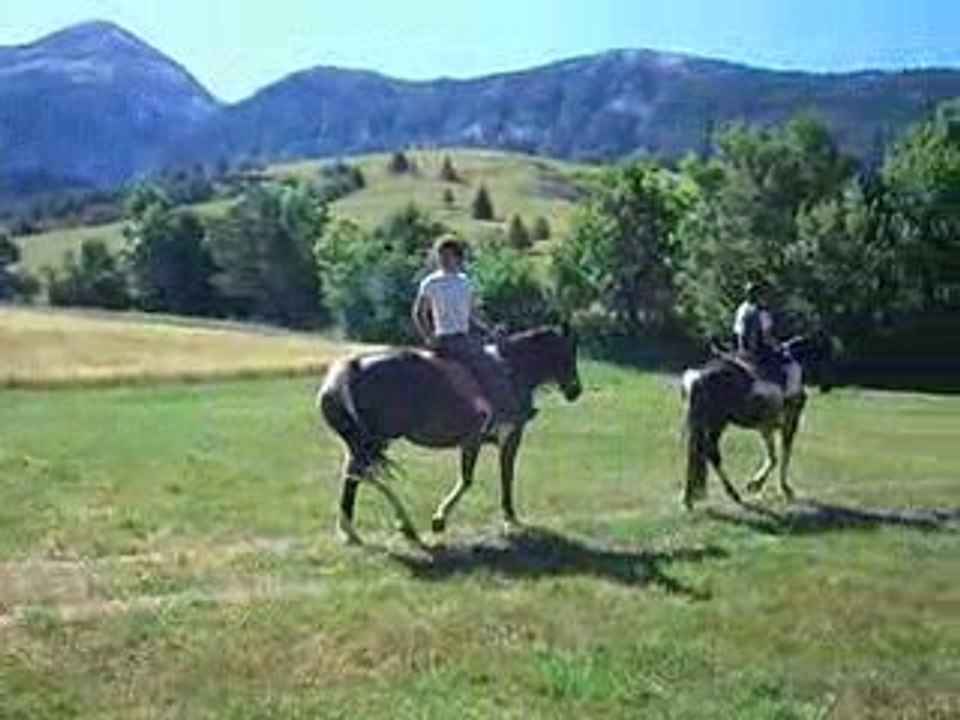 Montagnes et Crinières 007