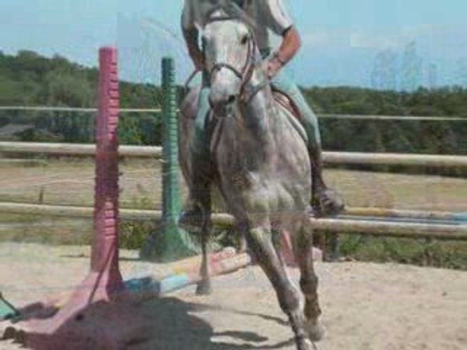 saut René 4 Août 09