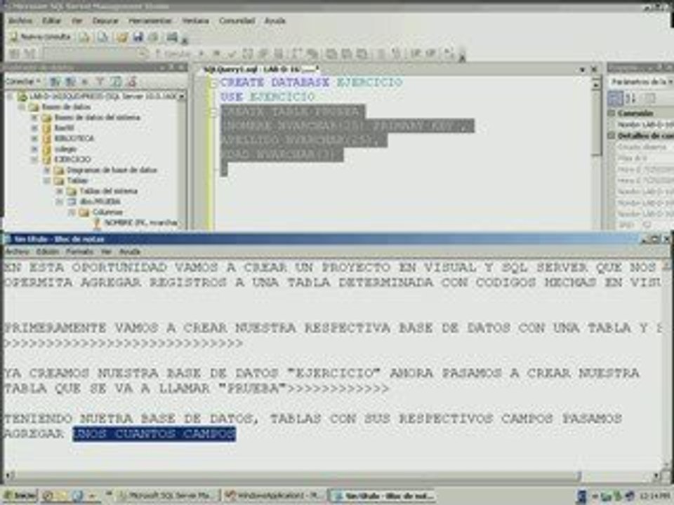 AGREGAR UN REGISTRO DESDE VISUAL A SQL SERVER 1 - 3