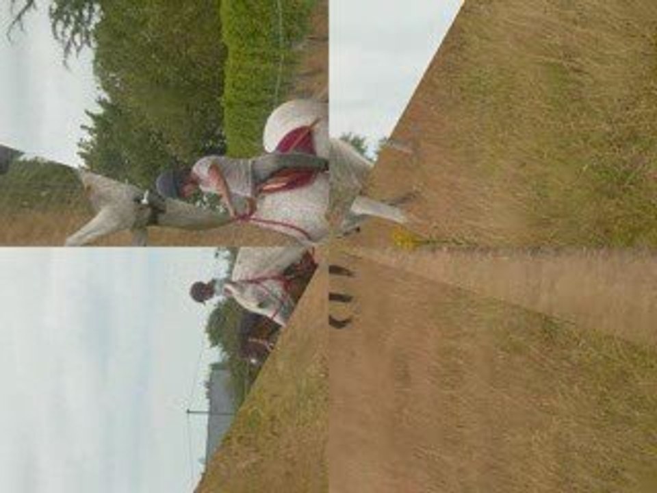 un ptit récapitulatif de otre merveilleuse après-midi