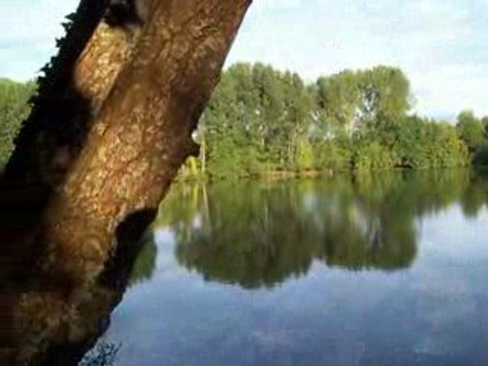 Parnac in the Lot(46)