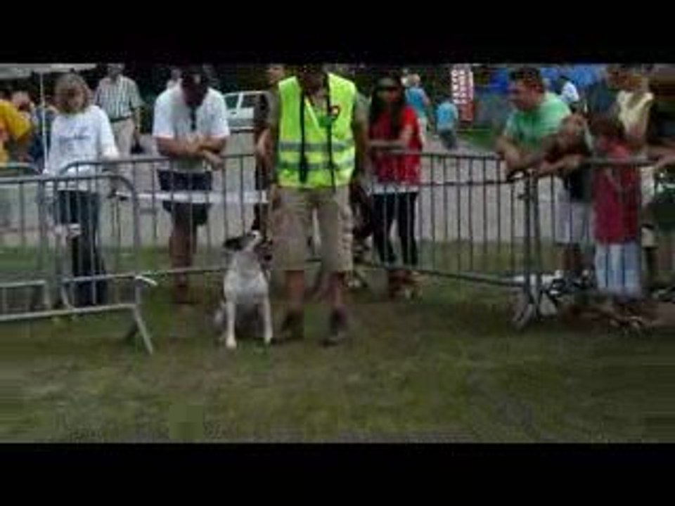 Maldegem 2009