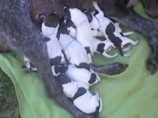 Cloe et ses petits bouts