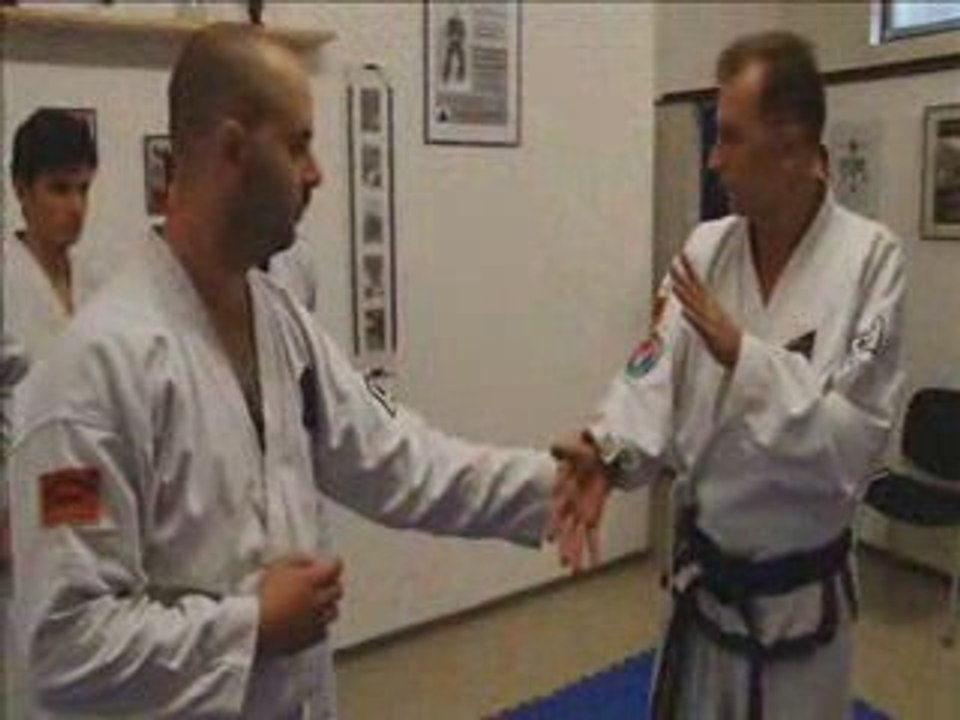 Summer party Part 1 - Self Defense Germany