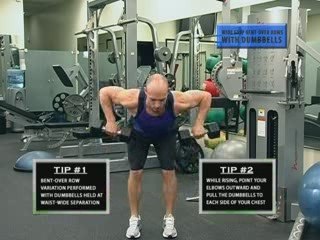 DB Bent Over Row | Upper Back Exercise